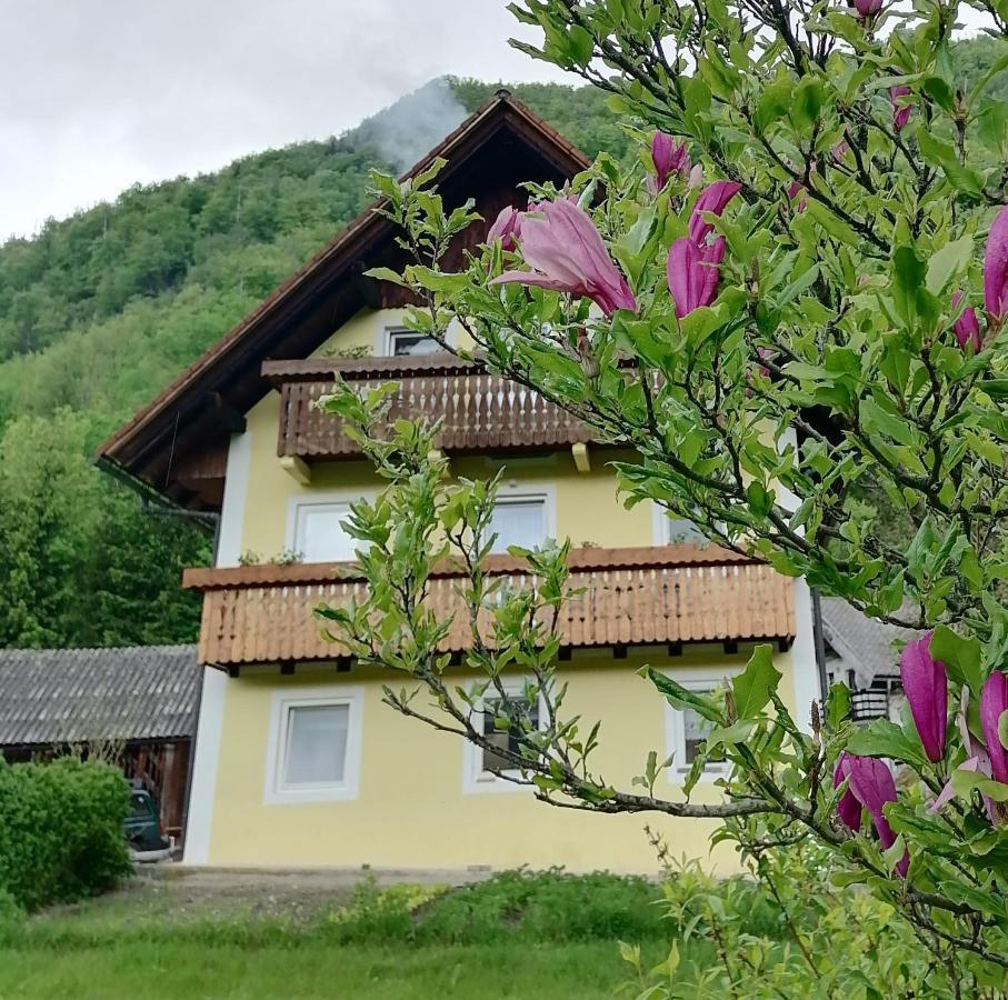 Apartment House Andrej Бохинь Экстерьер фото