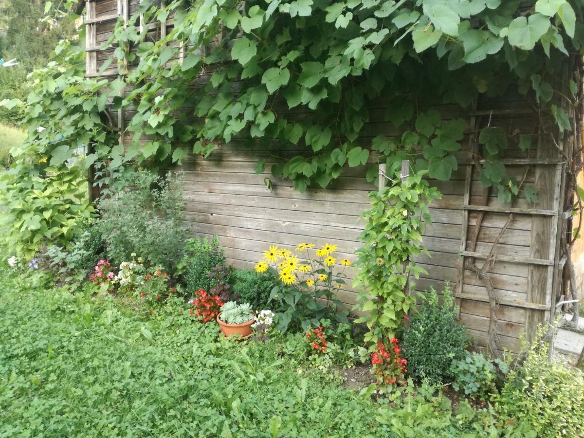 Apartment House Andrej Бохинь Экстерьер фото