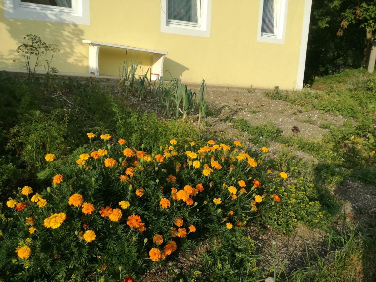 Apartment House Andrej Бохинь Экстерьер фото